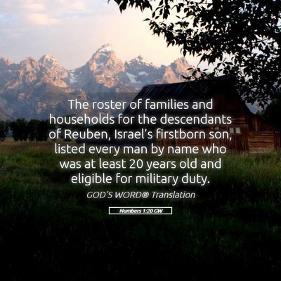 Picture 05 - Numbers 1:20 GW - The roster of families and households for the - Bible Verse Picture