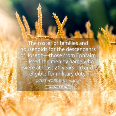 Picture 05 - Numbers 1:32 GW - The roster of families and households for the - Bible Verse Picture