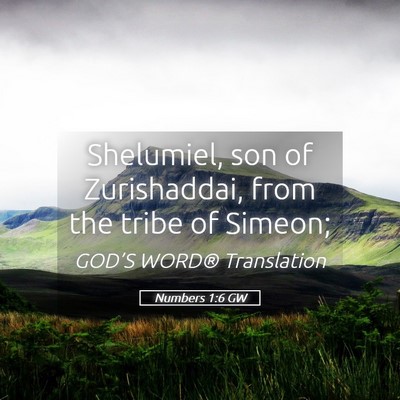 Picture 05 - Numbers 1:6 GW - Shelumiel, son of Zurishaddai, from the tribe of - Bible Verse Picture