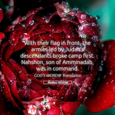 Picture 05 - Numbers 10:14 GW - With their flag in front, the armies led by - Bible Verse Picture