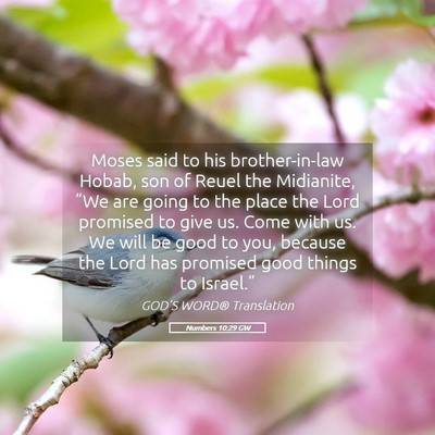 Picture 05 - Numbers 10:29 GW - Moses said to his brother-in-law Hobab, son of - Bible Verse Picture