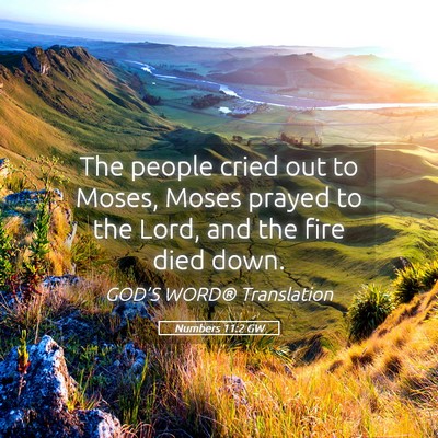 Picture 05 - Numbers 11:2 GW - The people cried out to Moses, Moses prayed to - Bible Verse Picture
