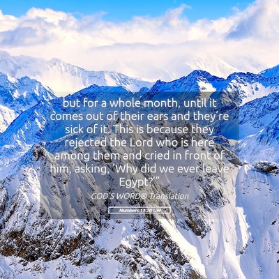 Picture 05 - Numbers 11:20 GW - but for a whole month, until it comes out of - Bible Verse Picture