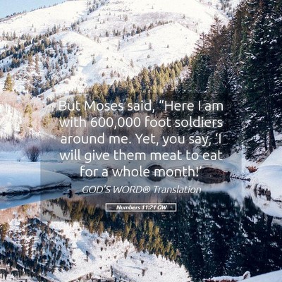 Picture 05 - Numbers 11:21 GW - But Moses said, “Here I am with 600,000 foot - Bible Verse Picture