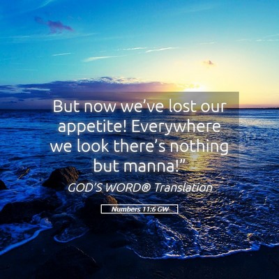 Picture 05 - Numbers 11:6 GW - But now we’ve lost our appetite! Everywhere we - Bible Verse Picture