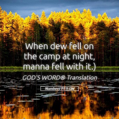 Picture 05 - Numbers 11:9 GW - When dew fell on the camp at night, manna fell - Bible Verse Picture