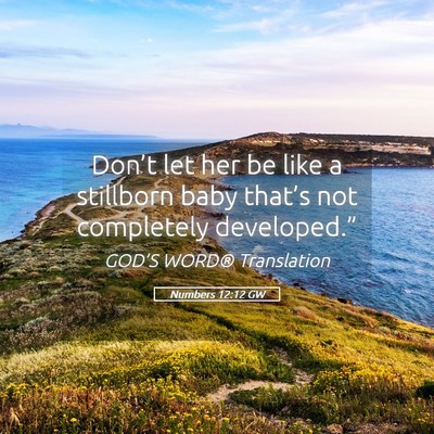 Picture 05 - Numbers 12:12 GW - Don’t let her be like a stillborn baby that’s - Bible Verse Picture