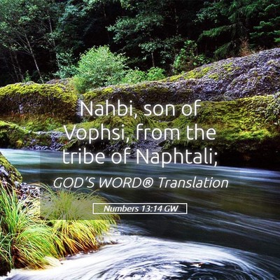 Picture 05 - Numbers 13:14 GW - Nahbi, son of Vophsi, from the tribe of - Bible Verse Picture