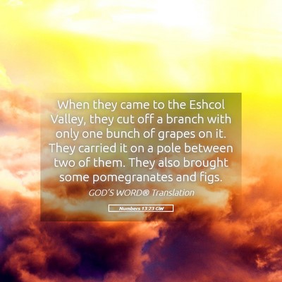 Picture 05 - Numbers 13:23 GW - When they came to the Eshcol Valley, they cut off - Bible Verse Picture