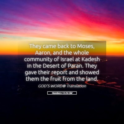 Picture 05 - Numbers 13:26 GW - They came back to Moses, Aaron, and the whole - Bible Verse Picture