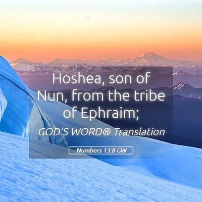 Picture 05 - Numbers 13:8 GW - Hoshea, son of Nun, from the tribe of - Bible Verse Picture