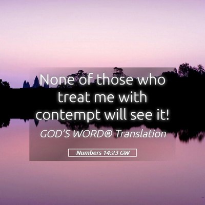 Picture 05 - Numbers 14:23 GW - None of those who treat me with contempt will see - Bible Verse Picture