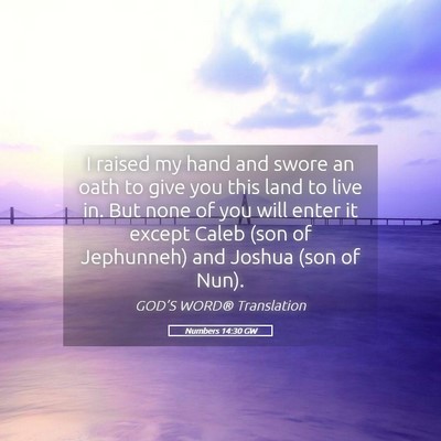 Picture 05 - Numbers 14:30 GW - I raised my hand and swore an oath to give you - Bible Verse Picture