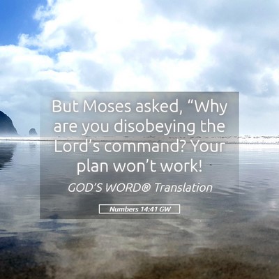 Picture 05 - Numbers 14:41 GW - But Moses asked, “Why are you disobeying the - Bible Verse Picture