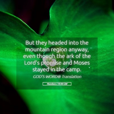 Picture 05 - Numbers 14:44 GW - But they headed into the mountain region anyway, - Bible Verse Picture