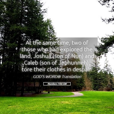 Picture 05 - Numbers 14:6 GW - At the same time, two of those who had explored - Bible Verse Picture