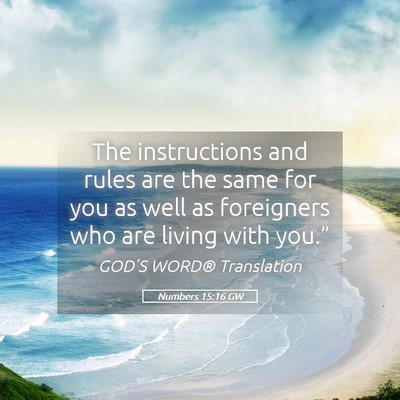 Picture 05 - Numbers 15:16 GW - The instructions and rules are the same for you - Bible Verse Picture
