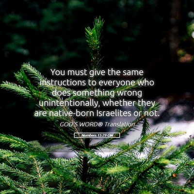 Picture 05 - Numbers 15:29 GW - You must give the same instructions to everyone - Bible Verse Picture