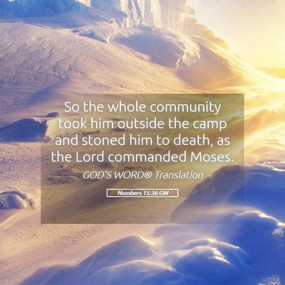 Picture 05 - Numbers 15:36 GW - So the whole community took him outside the camp - Bible Verse Picture