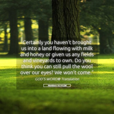 Picture 05 - Numbers 16:14 GW - Certainly you haven’t brought us into a land - Bible Verse Picture