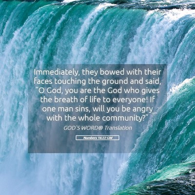 Picture 05 - Numbers 16:22 GW - Immediately, they bowed with their faces touching - Bible Verse Picture