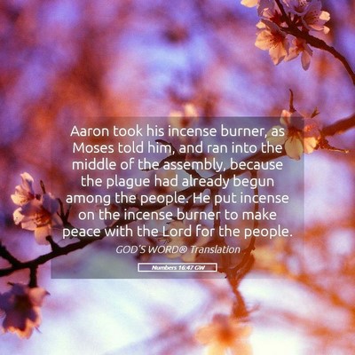 Picture 05 - Numbers 16:47 GW - Aaron took his incense burner, as Moses told him, - Bible Verse Picture