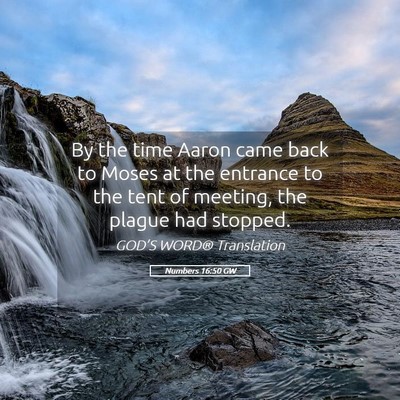 Picture 05 - Numbers 16:50 GW - By the time Aaron came back to Moses at the - Bible Verse Picture