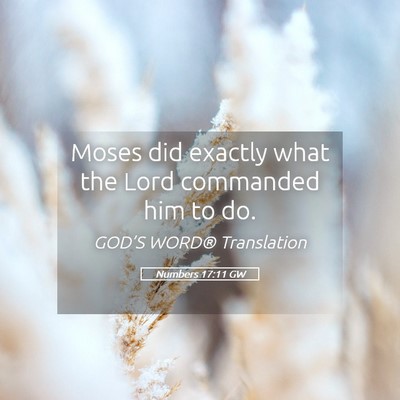 Picture 05 - Numbers 17:11 GW - Moses did exactly what the Lord commanded him to - Bible Verse Picture