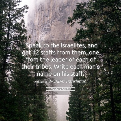 Picture 05 - Numbers 17:2 GW - “Speak to the Israelites, and get 12 staffs - Bible Verse Picture