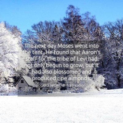 Picture 05 - Numbers 17:8 GW - The next day Moses went into the tent. He found - Bible Verse Picture