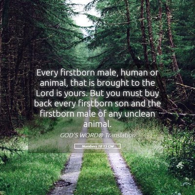 Picture 05 - Numbers 18:15 GW - Every firstborn male, human or animal, that is - Bible Verse Picture