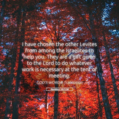 Picture 05 - Numbers 18:6 GW - I have chosen the other Levites from among the - Bible Verse Picture