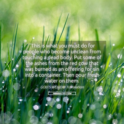 Picture 05 - Numbers 19:17 GW - “This is what you must do for people who become - Bible Verse Picture