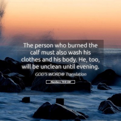 Picture 05 - Numbers 19:8 GW - The person who burned the calf must also wash his - Bible Verse Picture