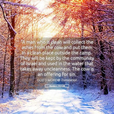 Picture 05 - Numbers 19:9 GW - “A man who is clean will collect the ashes from - Bible Verse Picture