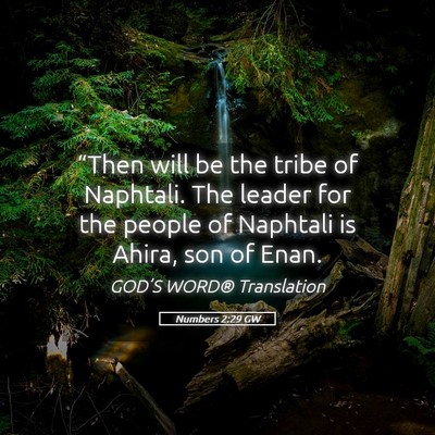 Picture 05 - Numbers 2:29 GW - “Then will be the tribe of Naphtali. The leader - Bible Verse Picture