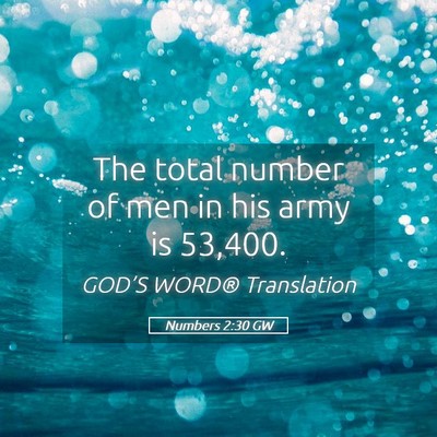 Picture 05 - Numbers 2:30 GW - The total number of men in his army is - Bible Verse Picture