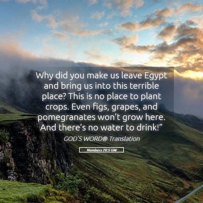 Picture 05 - Numbers 20:5 GW - Why did you make us leave Egypt and bring us into - Bible Verse Picture