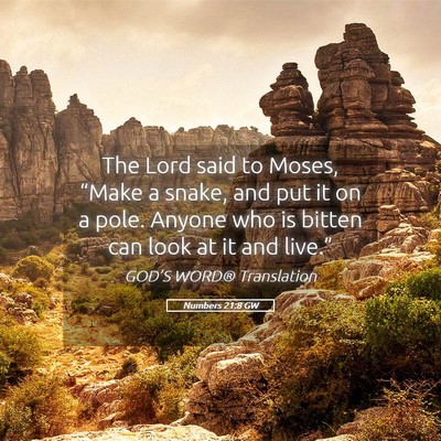 Picture 05 - Numbers 21:8 GW - The Lord said to Moses, “Make a snake, and put - Bible Verse Picture