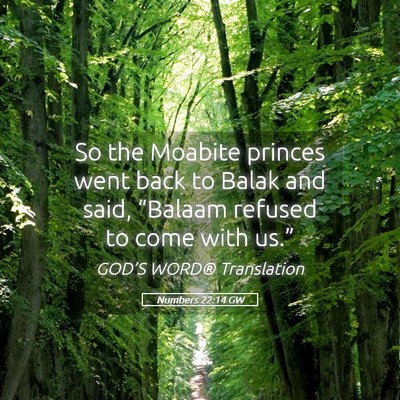Picture 05 - Numbers 22:14 GW - So the Moabite princes went back to Balak and - Bible Verse Picture