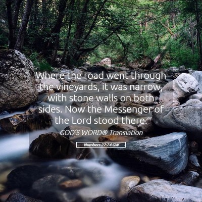 Picture 05 - Numbers 22:24 GW - Where the road went through the vineyards, it was - Bible Verse Picture