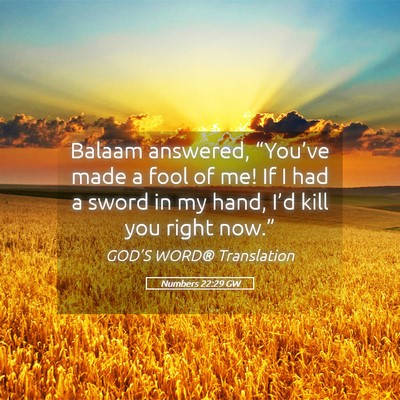 Picture 05 - Numbers 22:29 GW - Balaam answered, “You’ve made a fool of me! - Bible Verse Picture