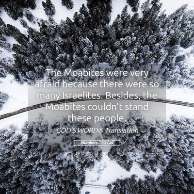 Picture 05 - Numbers 22:3 GW - The Moabites were very afraid because there were - Bible Verse Picture