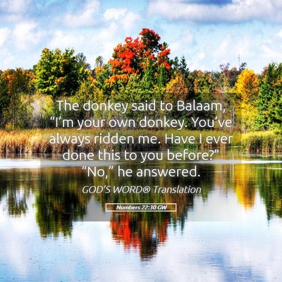 Picture 05 - Numbers 22:30 GW - The donkey said to Balaam, “I’m your own - Bible Verse Picture