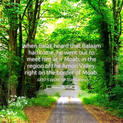 Picture 05 - Numbers 22:36 GW - When Balak heard that Balaam had come, he went - Bible Verse Picture