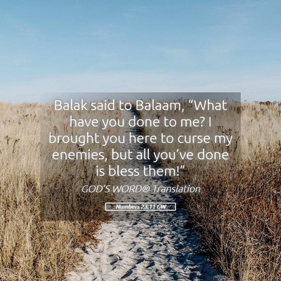 Picture 05 - Numbers 23:11 GW - Balak said to Balaam, “What have you done to - Bible Verse Picture
