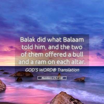 Picture 05 - Numbers 23:2 GW - Balak did what Balaam told him, and the two of - Bible Verse Picture