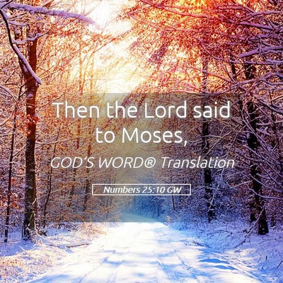 Picture 05 - Numbers 25:10 GW - Then the Lord said to - Bible Verse Picture