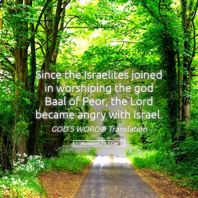 Picture 05 - Numbers 25:3 GW - Since the Israelites joined in worshiping the god - Bible Verse Picture