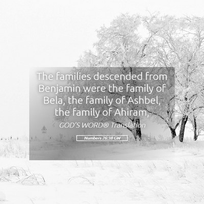 Picture 05 - Numbers 26:38 GW - The families descended from Benjamin were the - Bible Verse Picture